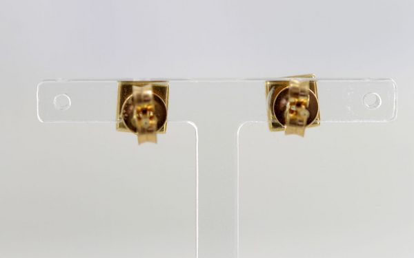 Italian Made German Baltic Amber Stud Earrings in 9ct Gold GS0020 RRP£125!!!