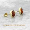 Italian Made Unique German Baltic Amber Square Studs 9ct Solid Gold GS0093 RRP£185!!!